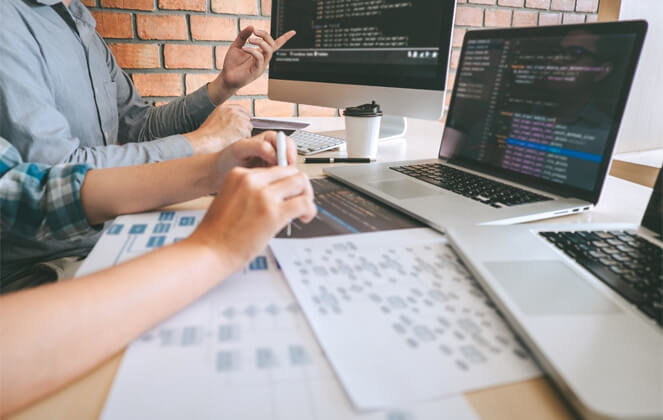 Software Application Support